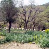 2007.04.01. - Samothraki